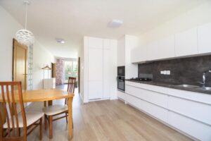 Sunny apartment Haná