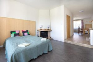 Sunny apartment Haná