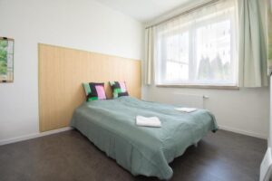 Sunny apartment Haná