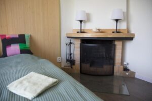 Sunny apartment Haná