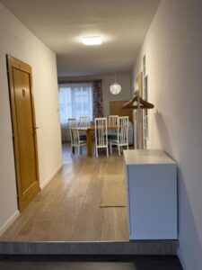 Sunny apartment Haná