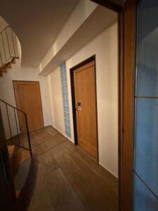 Sunny apartment Haná